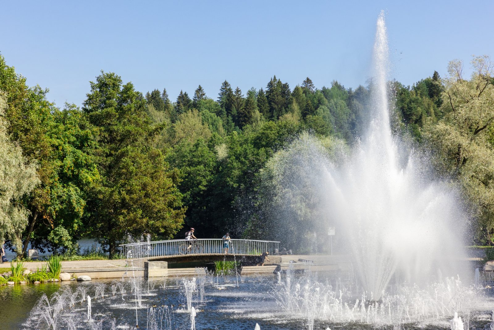 Pikku-Vesijärvi Park voitti Green Flag Award -palkinnon jälleen